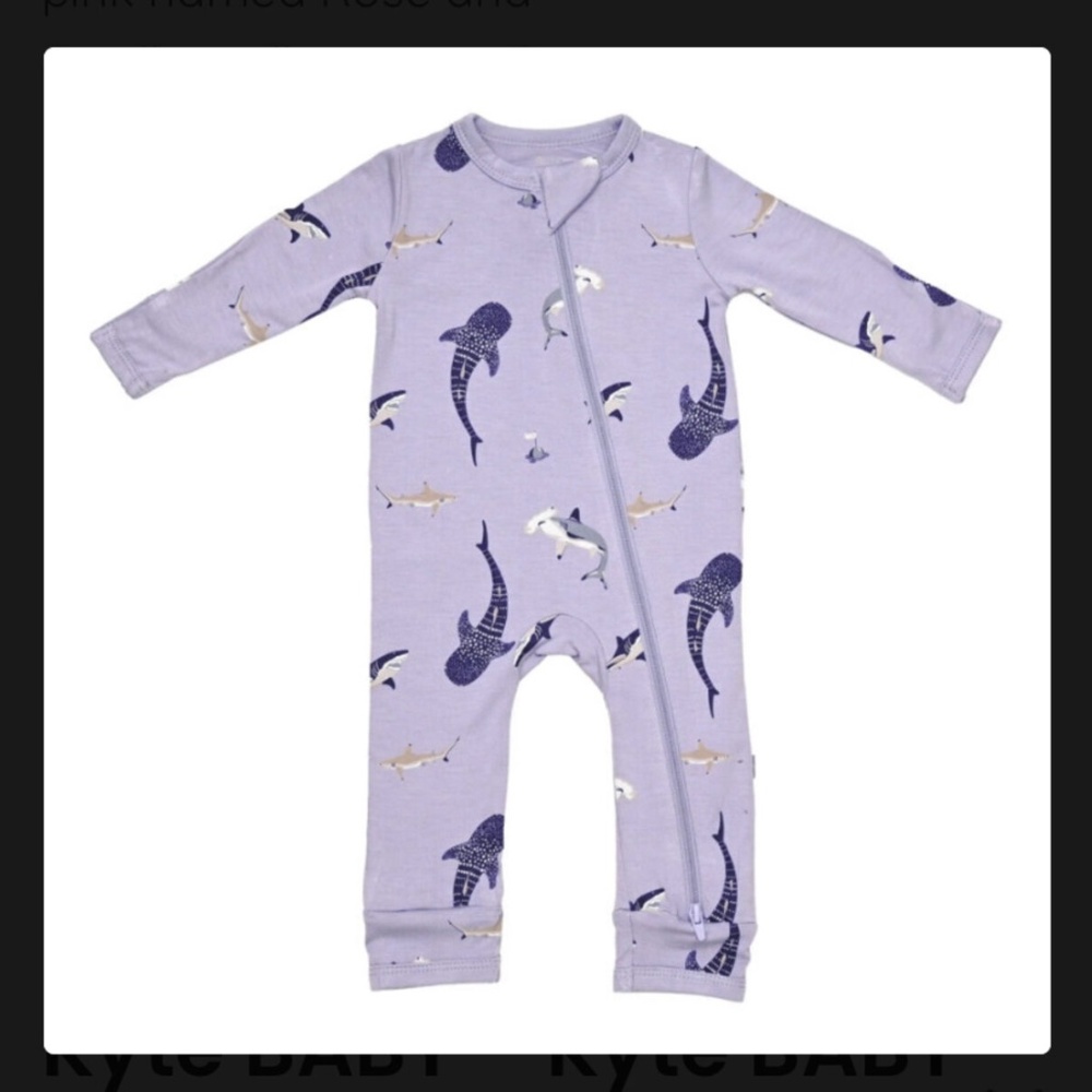 ISO taro shark Kyte baby